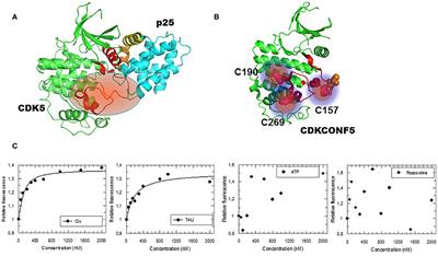 Identification of Quinazolinone Analogs Targeting CDK5 Kinase Activity and Glioblastoma Cell Proliferation